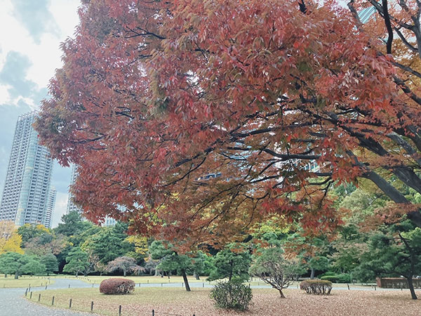 01 株式会社デジデリック